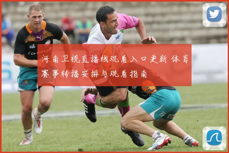 河南卫视直播线观看入口更新 体育赛事转播安排与观看指南