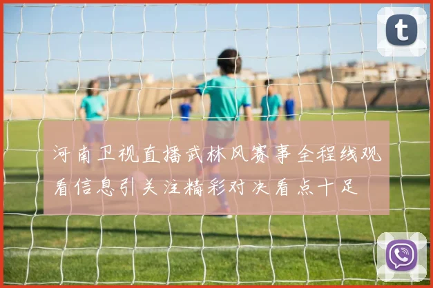 河南卫视直播武林风赛事全程线观看信息引关注精彩对决看点十足