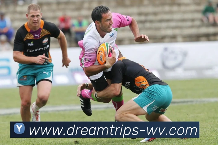 App Interface Preview