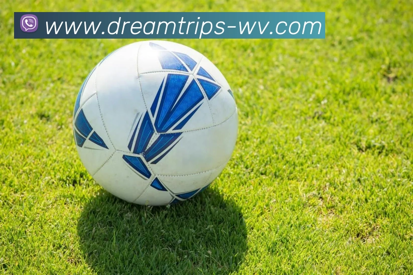 milan米兰官网APP 封面图