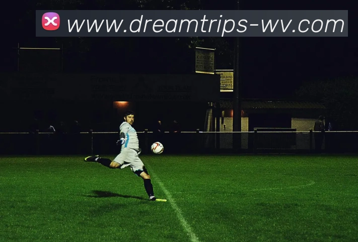 数据防护可视化